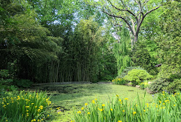 John P. Humes Japanese Stroll Garden