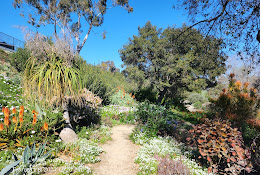 Niguel Botanical Preserve