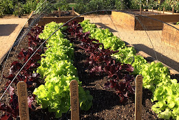 California Farm and Garden