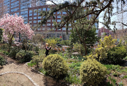 Liz Christy Garden