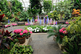 Planting Fields Arboretum State Historic Park