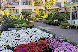 Chelsea Garden Center