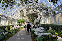 NYBG Ticket Counter