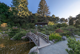 Hakone Estate and Gardens