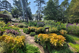 Tyler Rose Garden