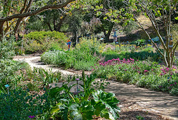 San Luis Obispo Botanical Garden