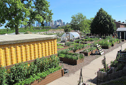 Governors Island Teaching Garden