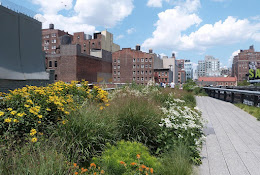 The High Line