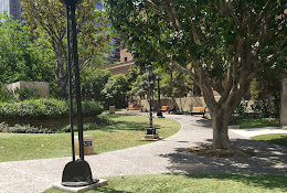 Maguire Gardens