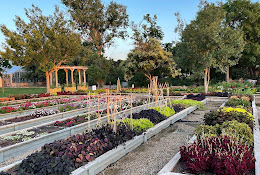 Texas Tech Horticultural Gardens