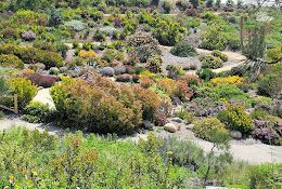 Ventura Botanical Gardens