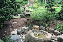 Japanese Garden