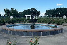 Memorial Rose Garden