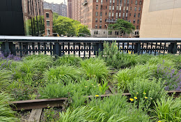 High Line Interim Walkway