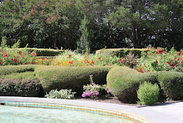 Texas Discovery Gardens at Fair Park