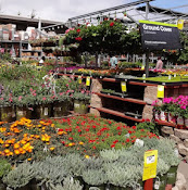 Garden Center at The Home Depot