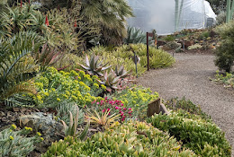 The Ruth Bancroft Garden & Nursery