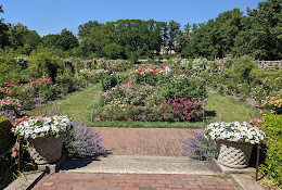 Cranford Rose Garden