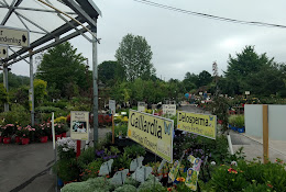 Wilson’s Garden Center