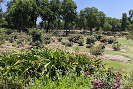 The Rose Gardens of Farmers Branch