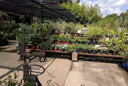 redenta’s garden shop