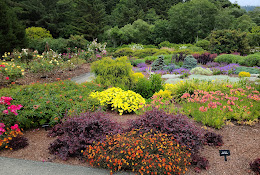 Humboldt Botanical Garden