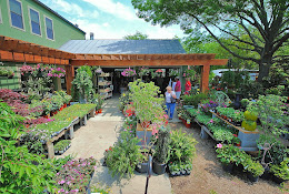 Walton’s Garden Center