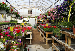 Russells Flowers, Garden Center & Gifts