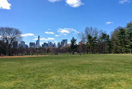 Butterfly Gardens of Central Park