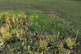 Tarrant County Master Gardeners Community Demonstration Garden