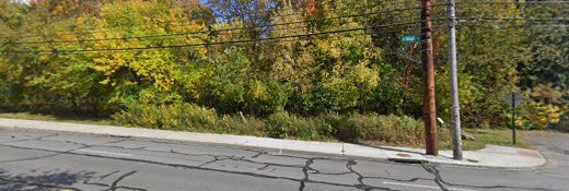 Adena Brook Rain Garden